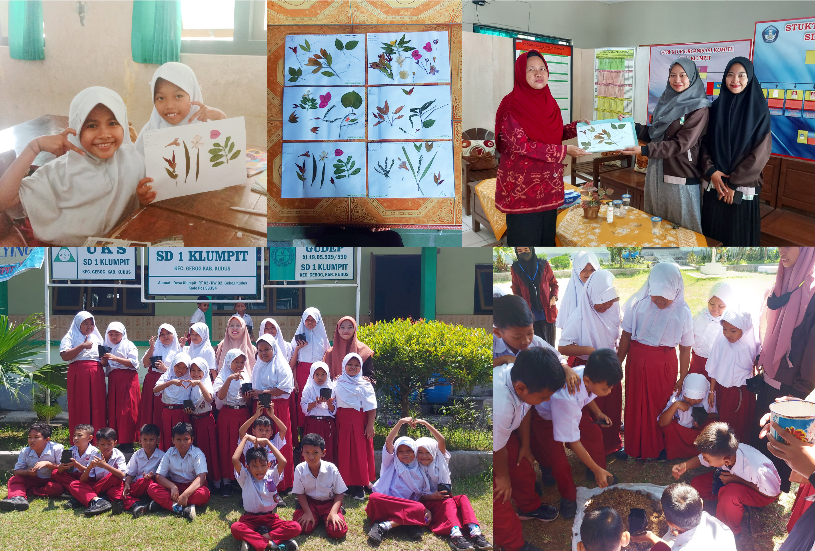 Pembuatan Herbarium dan Penanaman Kangkung di SDN 1 Klumpit Bersama Mahasiswa KKN-IK IAIN Kudus